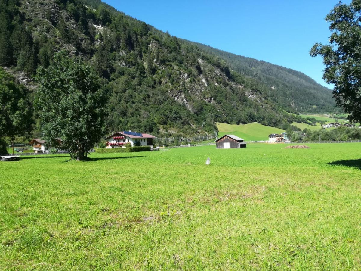 Schlatterhof Apartment Neustift im Stubaital Exterior photo